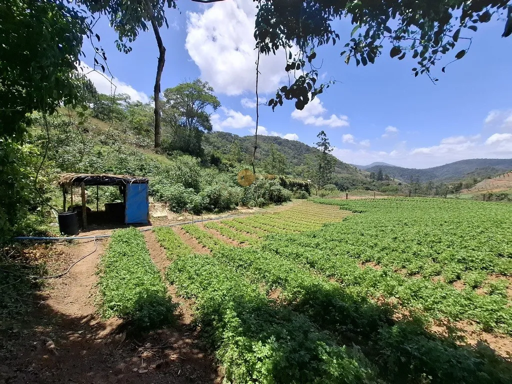 Imagem Terreno para Venda em Teresópolis / RJ no bairro Parque Boa União