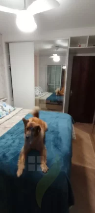 Imagem Apartamento de 3 dormitórios, 2 banheiros, 2 vagas, com 87m² em Rudge Ramos, São Bernardo do Campo