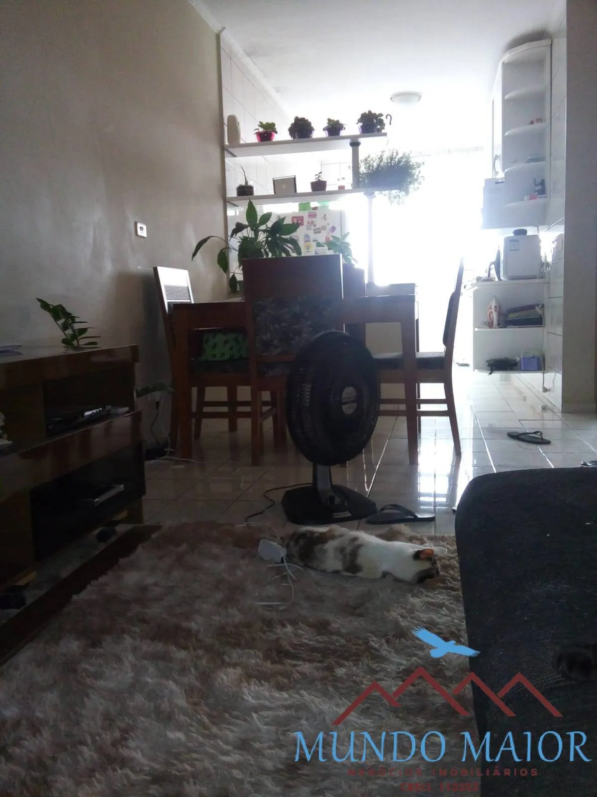 Imagem 3 Casas, 1 Só Compra - Ideal para Moradia e Renda! Veja Essa Oportunidade!
