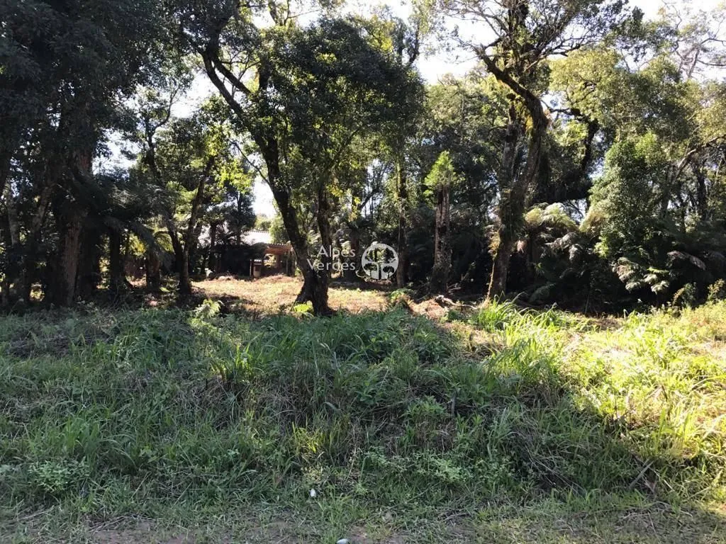 Imagem Vende-se Terreno em Canela a cerca de 3 minutos da Catedral de Pedra