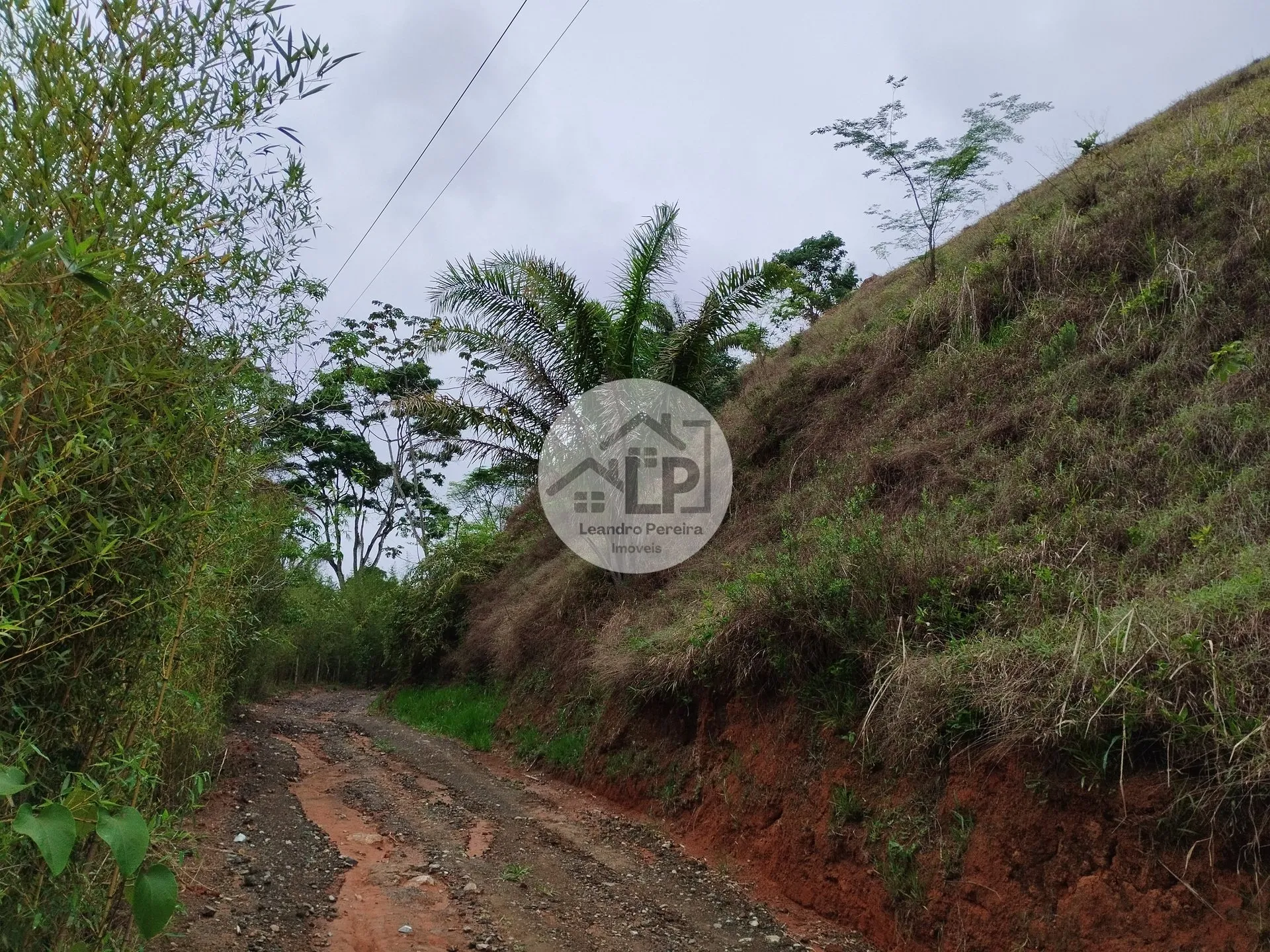 Imagem Lote/Terreno de 1560m² no bairro Caiçara, em Piraí