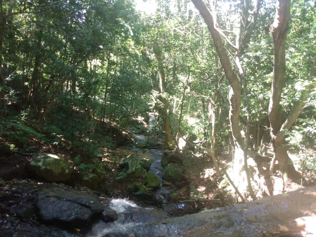 Foto do imóvel Chácara para venda, bairro Voluntário Baixo em Igrejinha/RS.