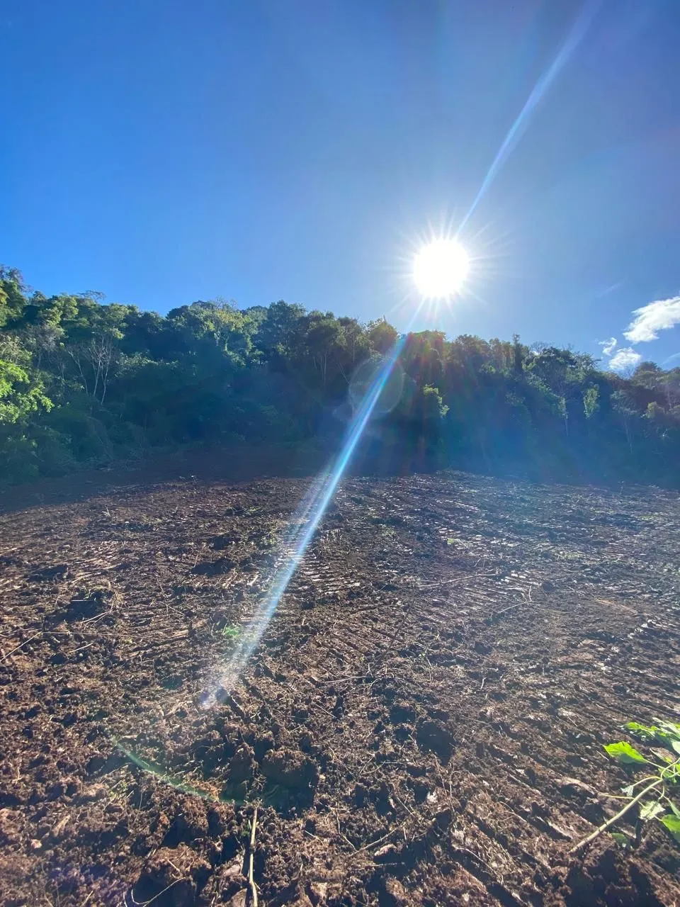 Imagem Chácara à venda em Caxias do Sul, Santa Lúcia do Piaí, 103471.89m2