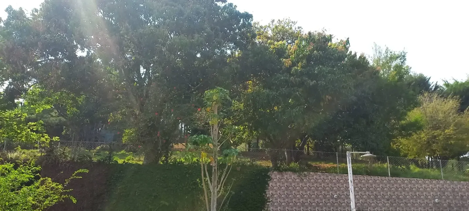 Imagem Chácara com 3 Quartos à Venda, 6.693 m² em Condomínio Quinta da Baroneza II - Bragança Paulista
