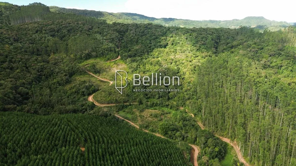 Imagem Terreno com 20.086,76m² em Ribeirão Coração, Benedito Novo