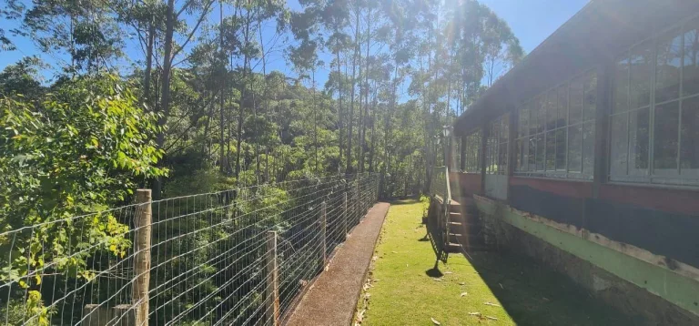 Imagem Terreno Comercial para Venda em Duas Barras, Vargem Grande, 5 dormitórios, 1 suíte, 3 banheiros