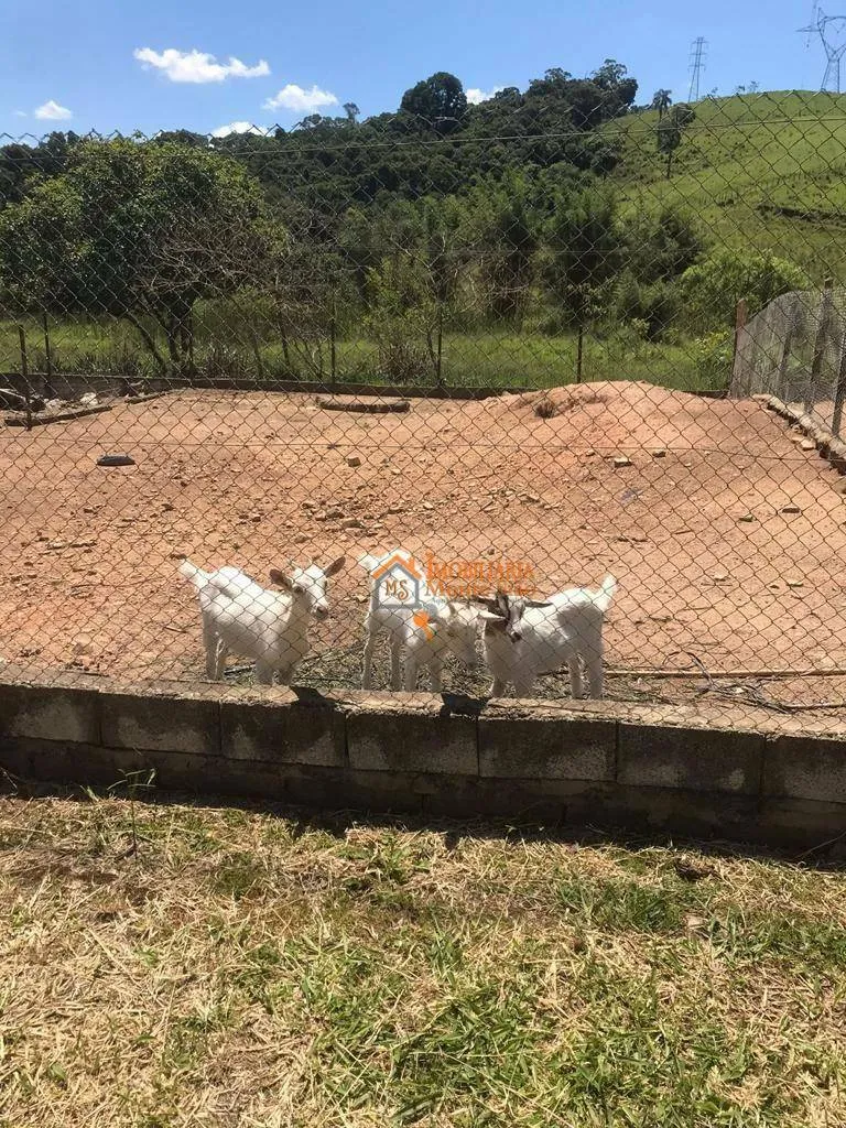 Imagem Sítio com 8 dormitórios à venda, 84000 m² por R$ 1.100.000,00 - Marmelo - Mairiporã/SP