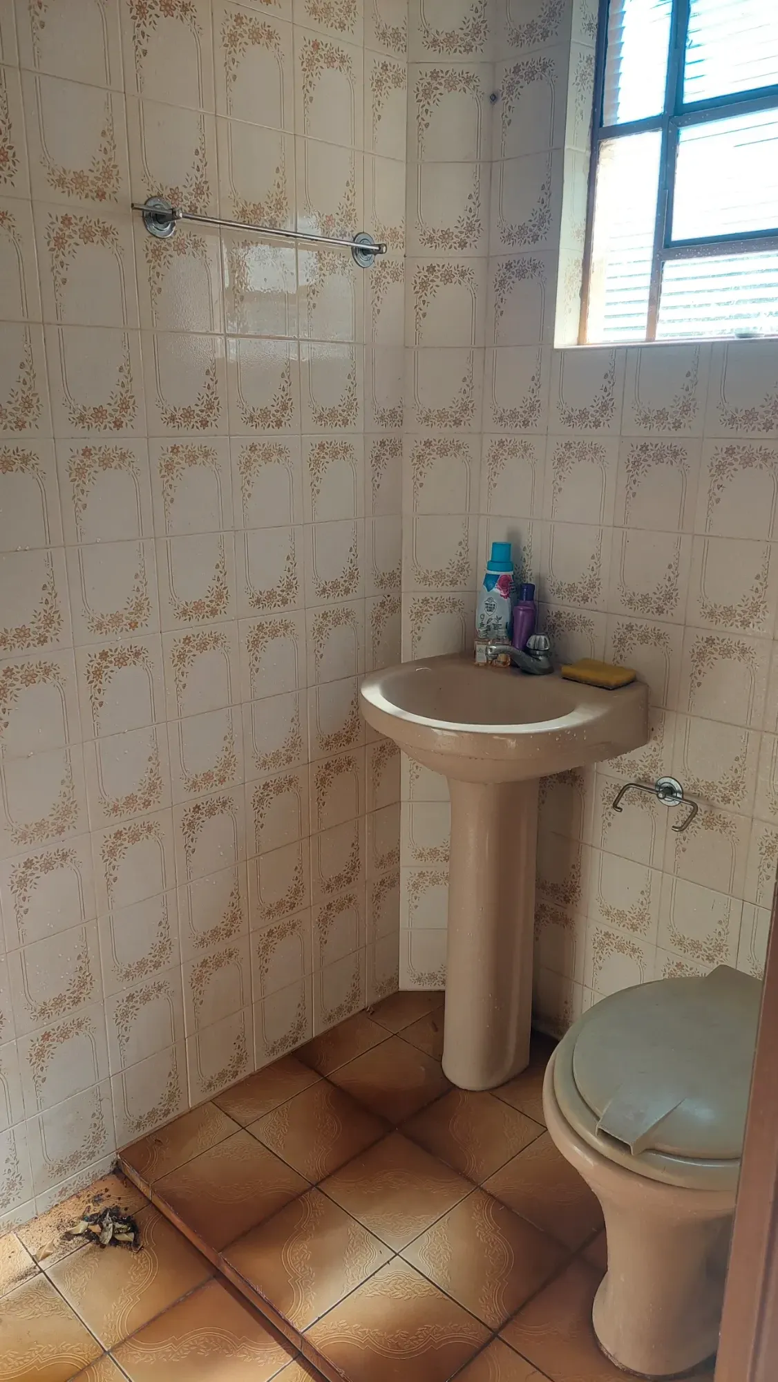 Imagem Casa com 3 Quartos à Venda, 172 m² em Núcleo Residencial Presidente Geisel - Bauru