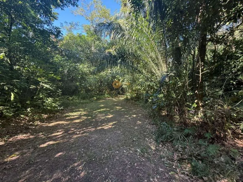 Imagem Sítio para Venda em Guapimirim / RJ no bairro Parque Nossa Senhora da Ajuda