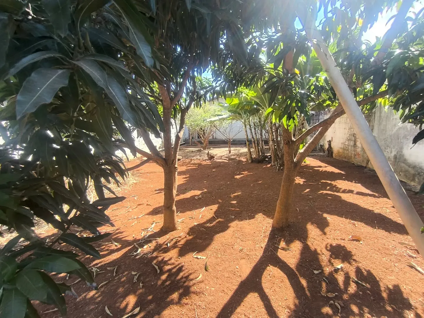 Imagem Casa 3/4 C Suite No Jardim Helveia Oportunidade