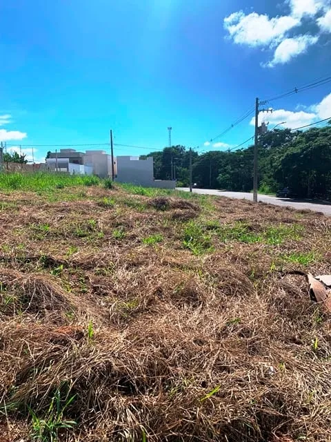 Foto do imóvel Terreno à venda 290.95M², Loteamento Residencial e Comercial Flamboyant, Pindamonhangaba - SP