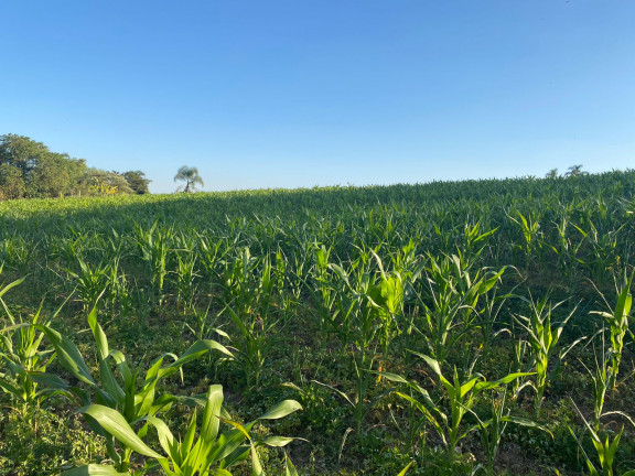 Imagem Terreno em Condomínio à Venda, 1.000 m² em verava - Ibiúna
