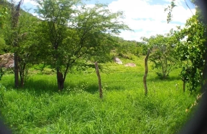 Imagem Venda terreno em carapotos