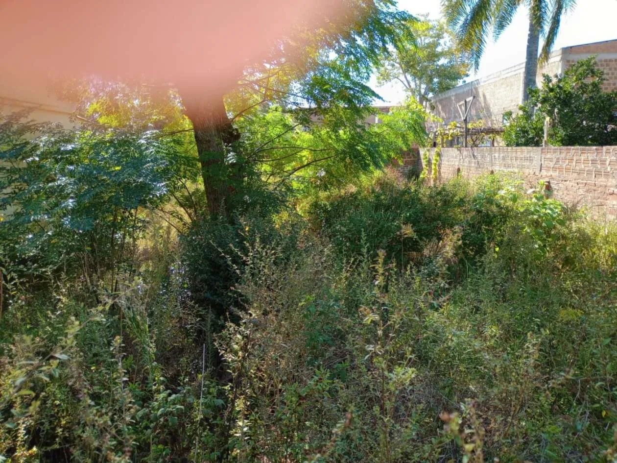 Imagem Casa para Venda em Pedro Osório, Centro, 2 dormitórios, 1 banheiro, 1 vaga