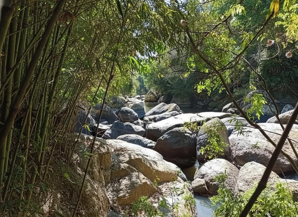 Imagem Sítio 7 m² à venda em Campininhas, Caldas