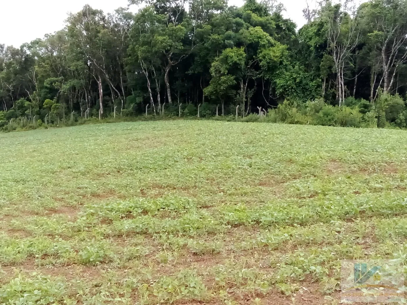 Imagem Terreno para Venda em São José dos Pinhais, Contenda, 1 dormitório