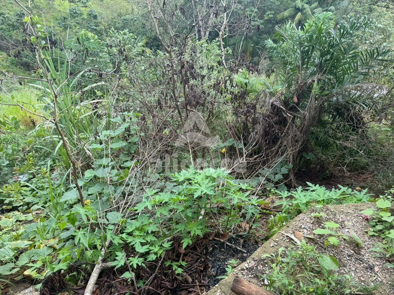 Imagem Sítio à Venda no Pagará - Santo Amaro da Imperatriz/SC