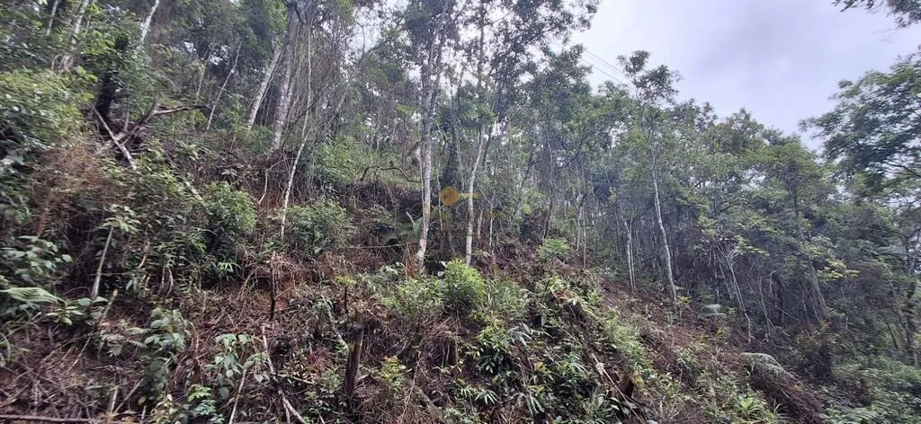 Imagem Terreno para Venda em Teresópolis / RJ no bairro Albuquerque