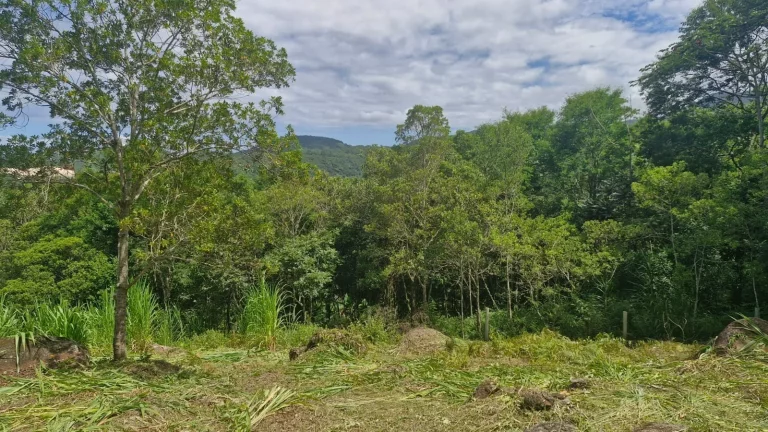 Imagem Oportunidade Única: Terreno à Venda no Bairro Macacu em Garopaba/SC! 1.639,00 m² de área. Confira já!