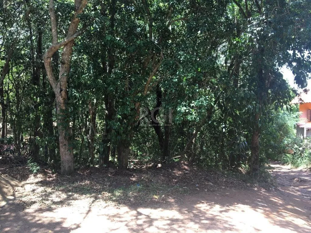 Imagem Terreno em Vila Nova