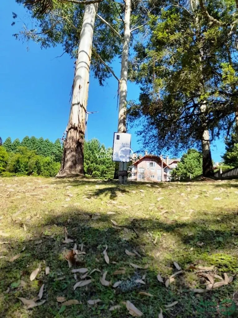 Imagem Área à venda, 1112 m2 por R$ 2.500.000,00 - Bosque - Canela/RS