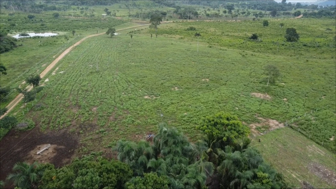 Imagem Fazenda à Venda, 90024 Alq. GO em São Félix do Xingu - São Félix do Xingu