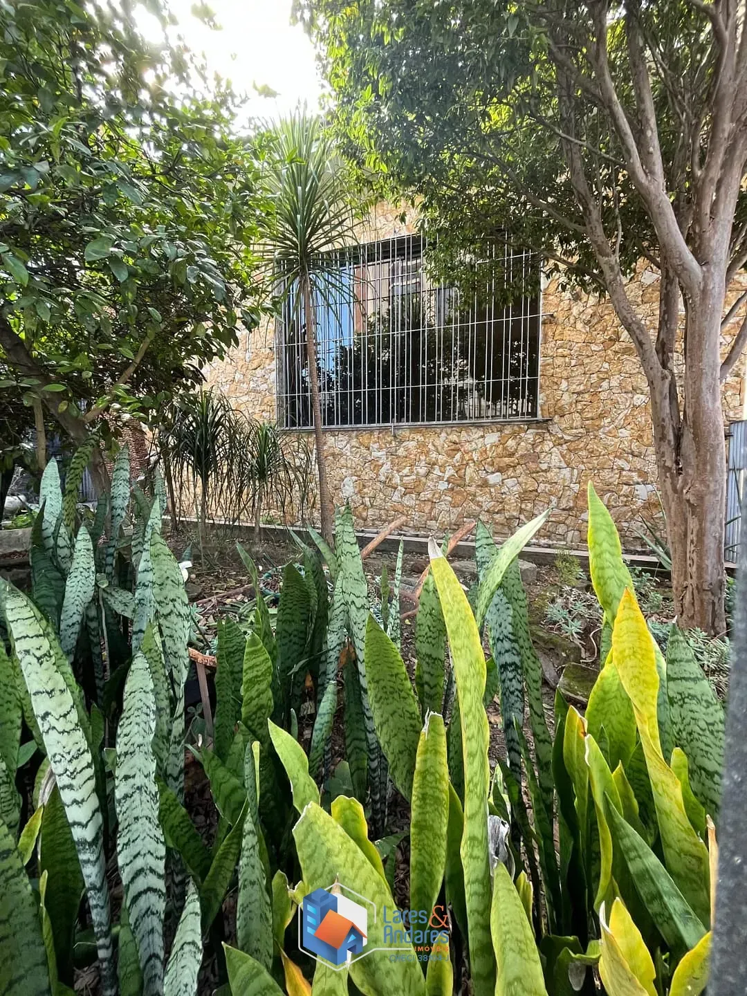 Imagem Apartamento para venda em Vila Maria Alta com 20 quartos, sendo 5 suítes, 585m²