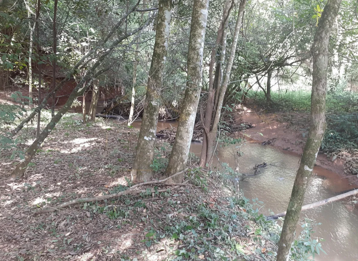 Imagem Chácara 70 m² à venda em Pião, Campestre