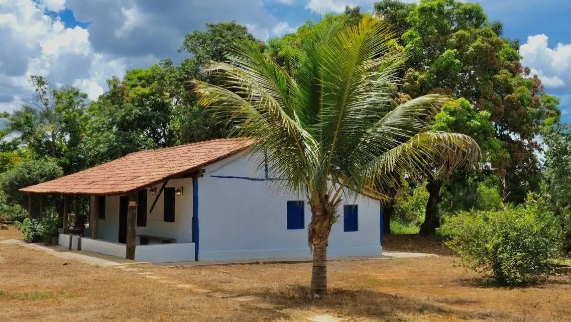 Foto do imóvel FAZENDINHA À VENDA - CURVELO (MG) 171 hectares de terra
