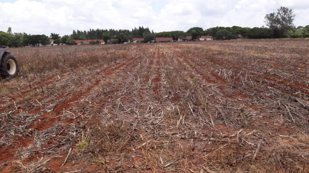Imagem Área à venda, 328000 m² por R$ 30.000.000 - Parque Frezarin - Santa Bárbara D'Oeste/SP
