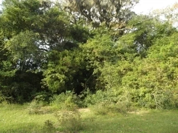 Imagem Excelente área para Condomínio ou Loteamento região central de Águas Claras