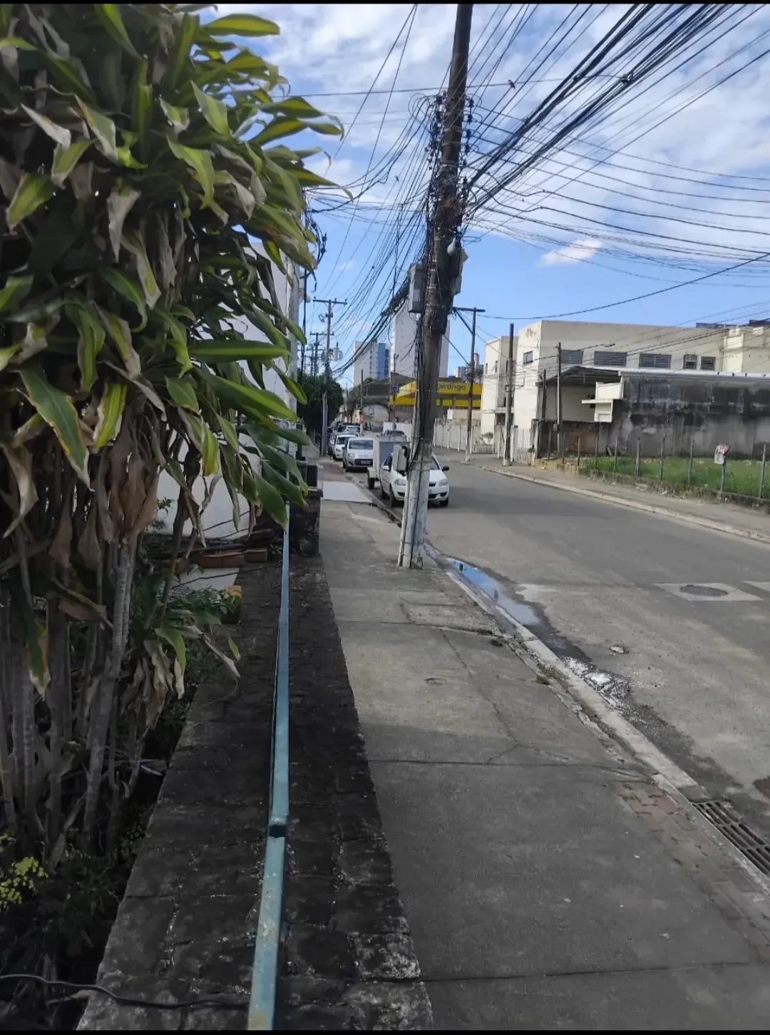 Imagem Casa com 3 Quartos à Venda, 598 m² em  - 