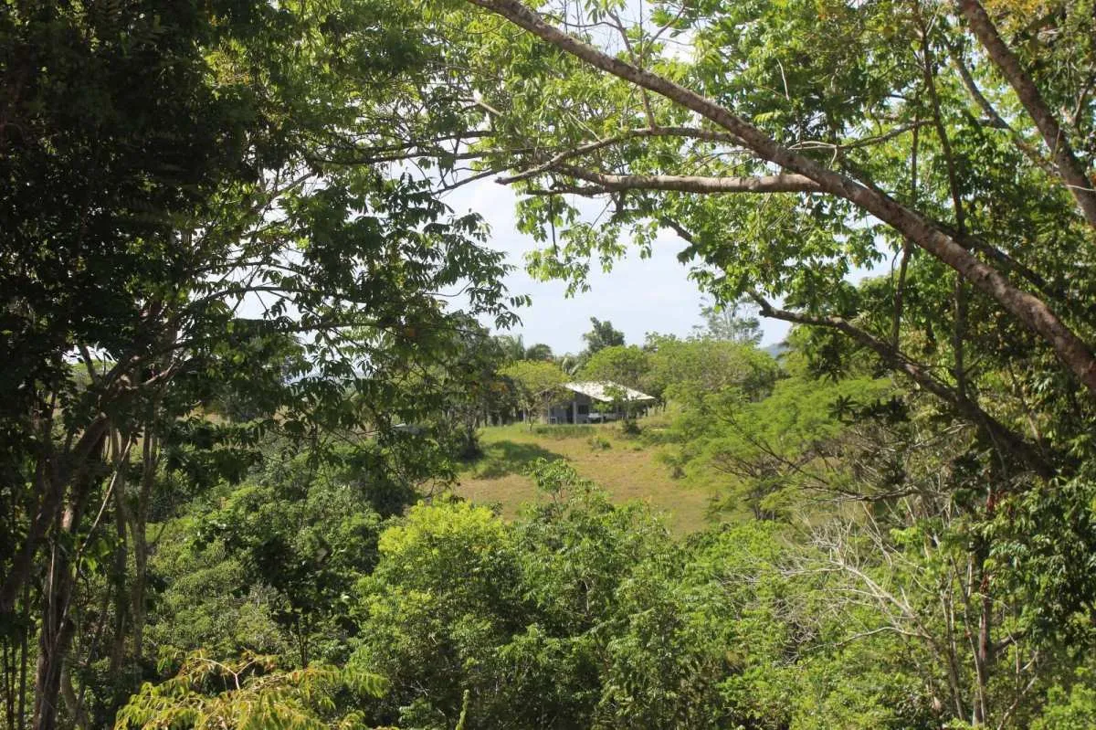 Imagem Sítio à venda em Mata de São João, com 2 quartos, 201m2m2