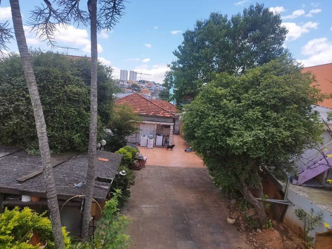 Imagem Terreno para Venda em Santo André / SP no bairro Vila Sacadura Cabral