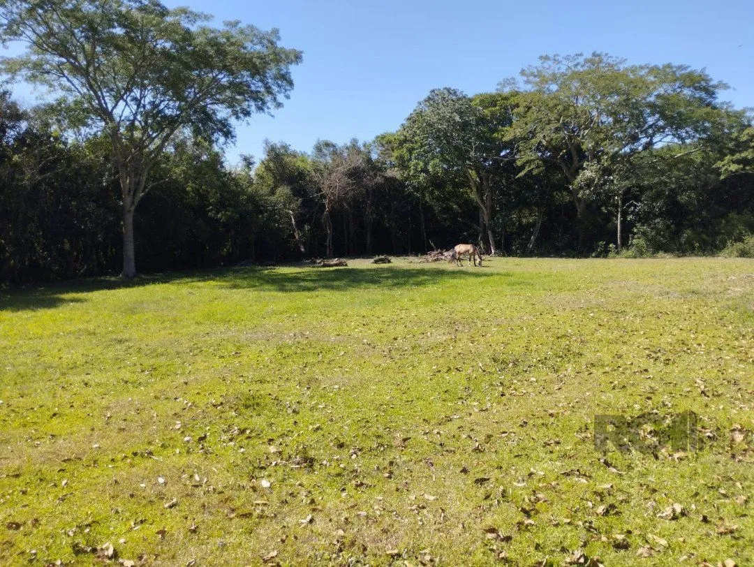 Imagem Sítio, 4 dormitórios, Bairro Fiuza.