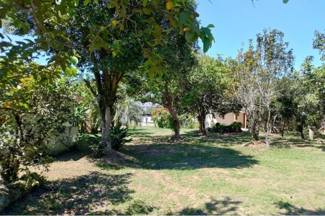 Imagem Terreno/Lote Comercial para venda no bairro Santa Fé em Gravataí