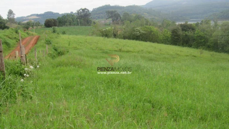 Imagem Terreno para Venda em Concórdia, Rural