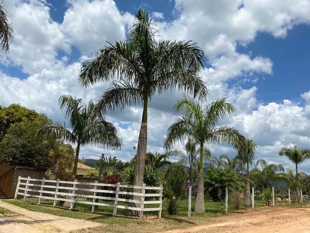 Imagem FAZENDINHA PORTEIRA FECHADA À VENDA - CARMO DO CAJURU (MG) 37 hectares de área total