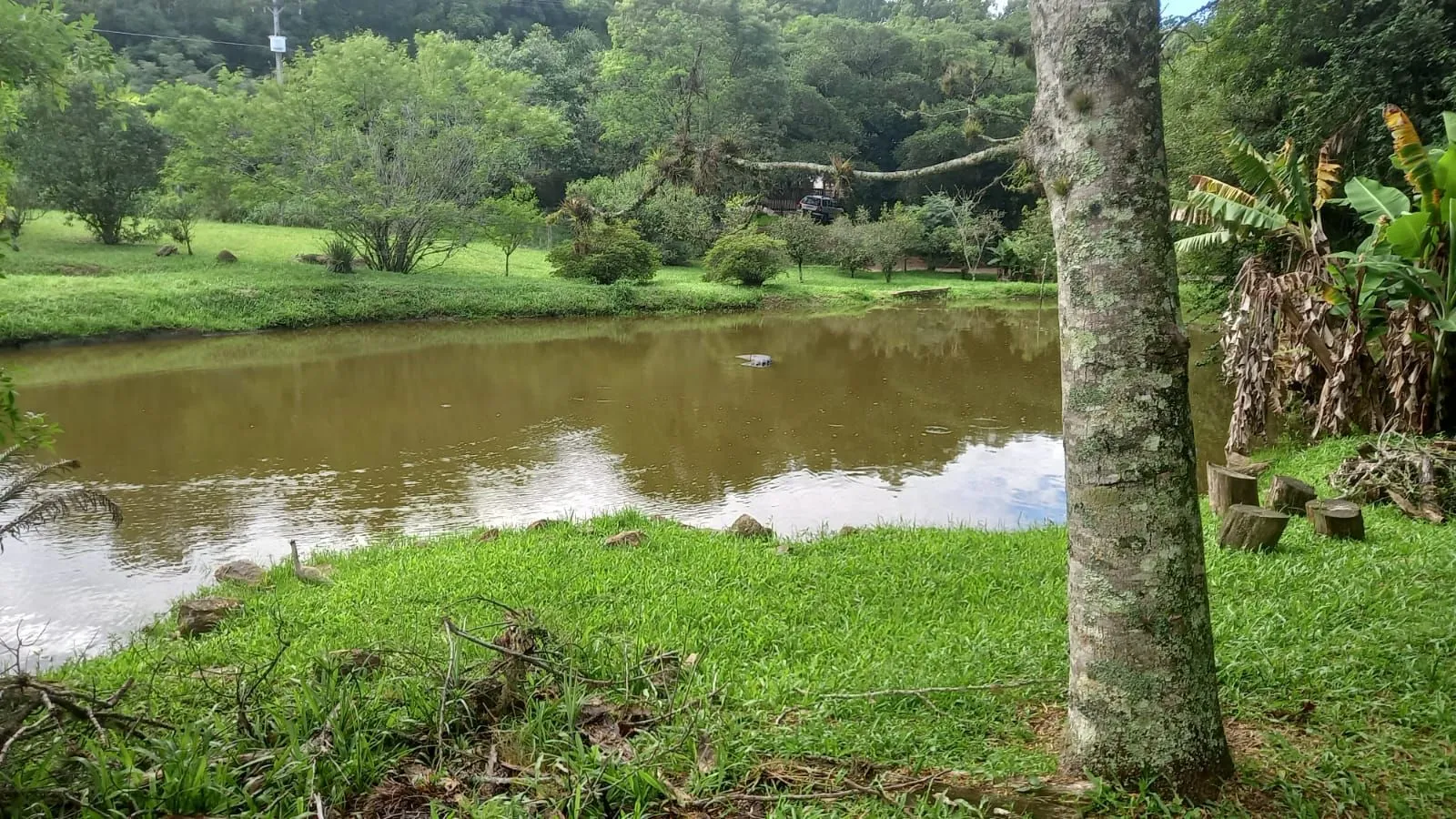 Imagem Sítio em Canta Galo (Passo da Areia)