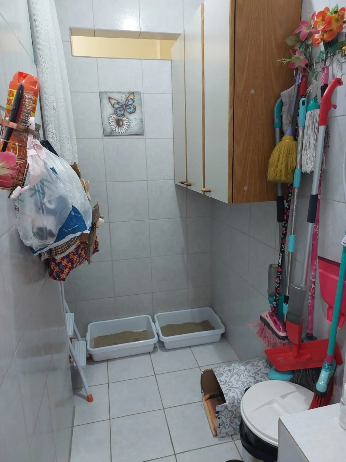 Imagem Apartamento em Floresta