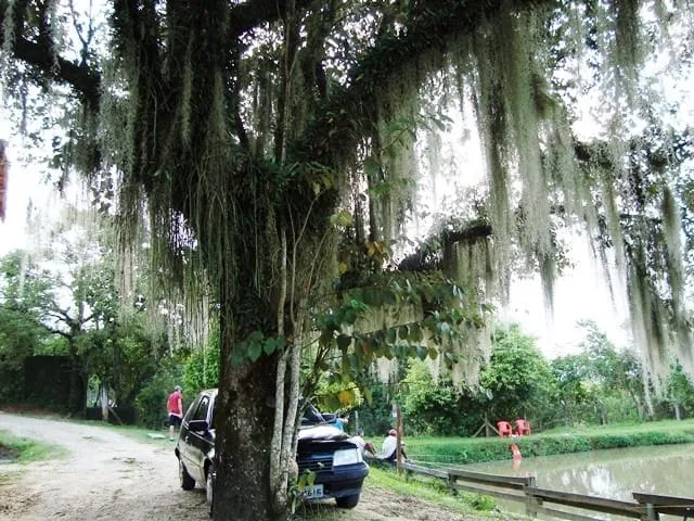Foto do imóvel Chácara à venda 55693.88M², Bom Sucesso, Pindamonhangaba - SP