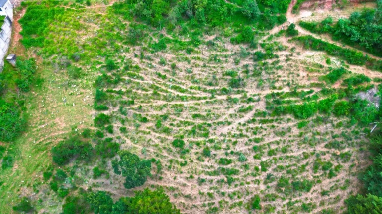 Imagem Terreno em Campos do Jordão
