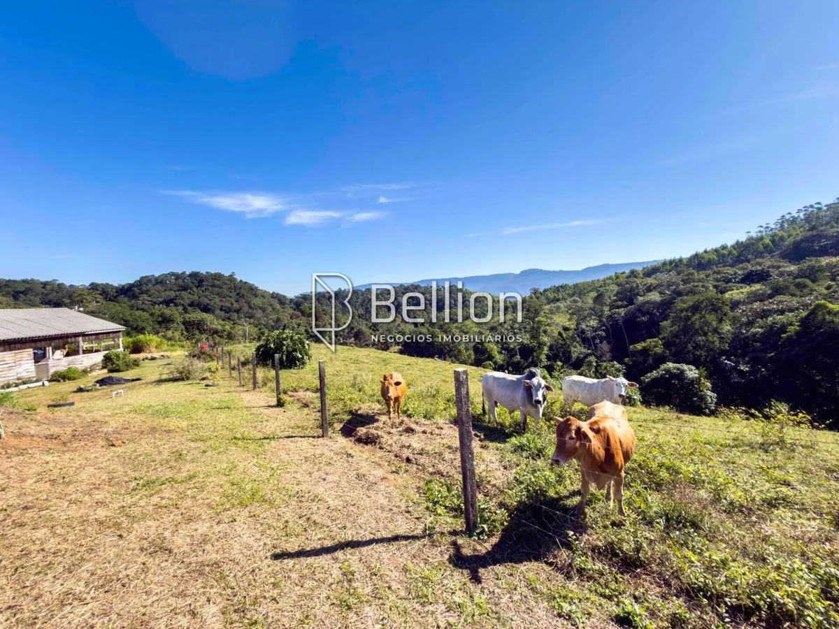 Imagem Sítio em Rodeio - Espaço, Privacidade e Contato com a Natureza!