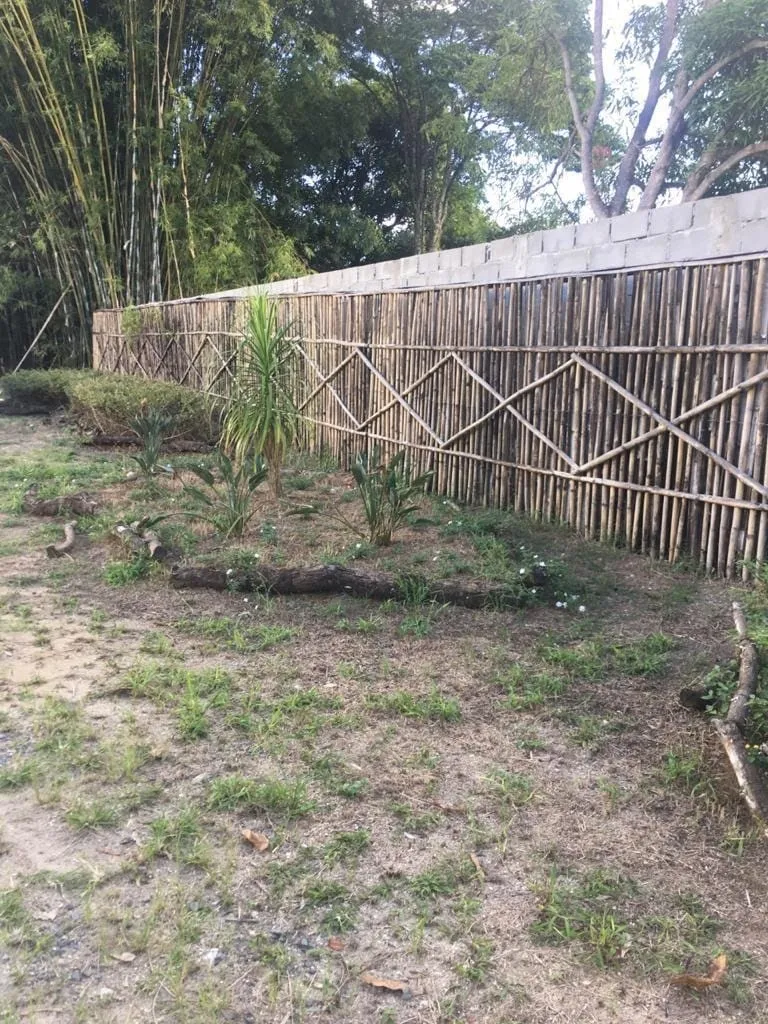 Imagem Chácara à venda 3 Quartos, 2000M², Mandú, Pindamonhangaba - SP