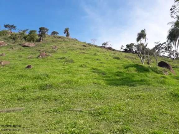 Imagem FAZENDA RURAL em SÃO JOÃO DA BOA VISTA - SP, CENTRO