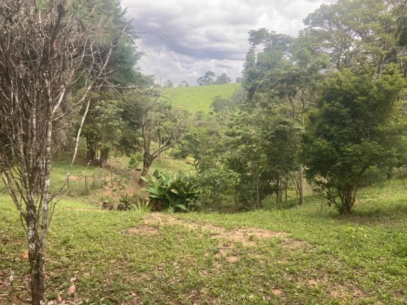 Imagem Vendo Excelente Chácara em Entre Rios de Minas - - Área de 1,6 hectares