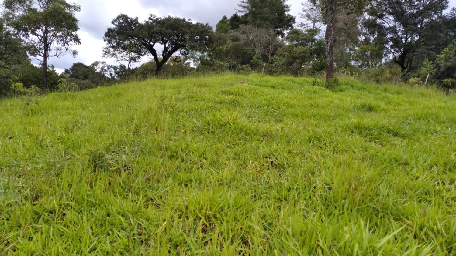 Imagem Vendo um ótimo sítio em Itaguara/Mg com 78.000 m² de terra,