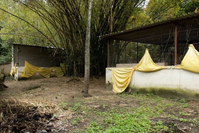 Imagem SITIO RESIDENCIAL em RIO DE JANEIRO - RJ, GUARATIBA