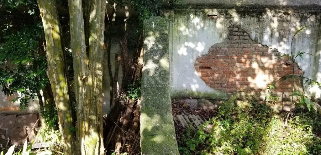 Imagem Oportunidade Para Construtora Comprar