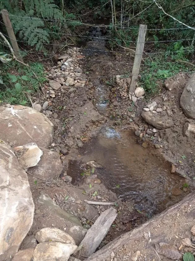 Imagem Fazenda em Joanópolis - R$ 2.000.000,00 - 40 Alqueires e 3 Fontes de Água!